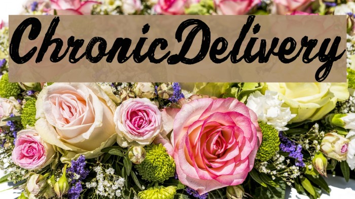 ChronicDelivery Font examples