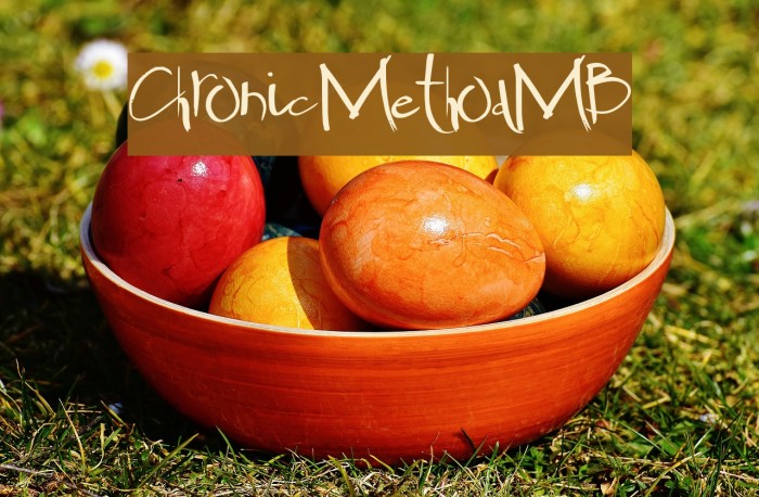 ChronicMethodMB Font examples
