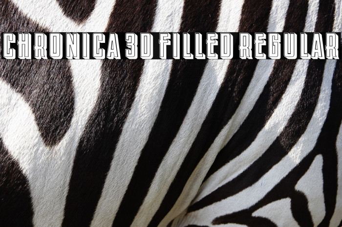 Chronica 3D Filled Regular Example 3