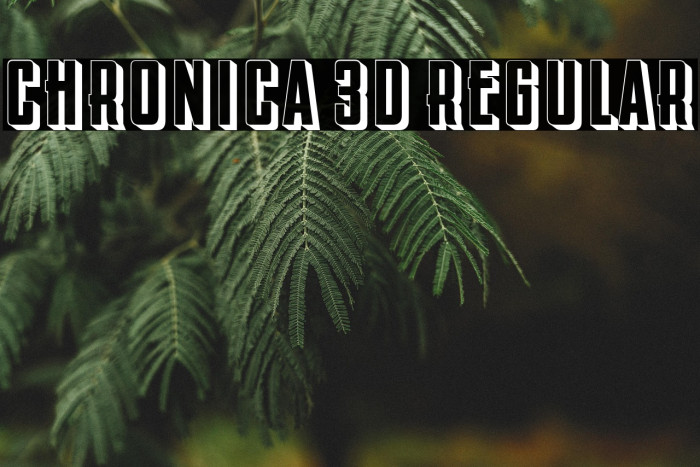 Chronica 3D Regular Example 1