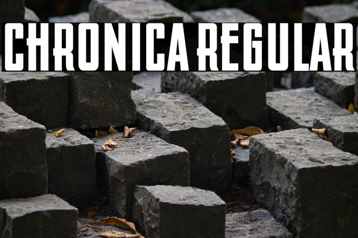 Chronica Regular Example 1