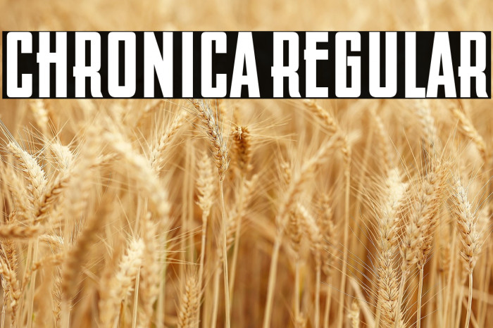 Chronica Regular Example 3