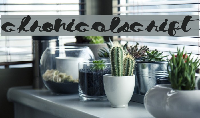 ChronicalScript Example 2