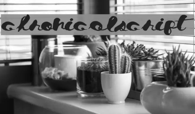 ChronicalScript Font examples