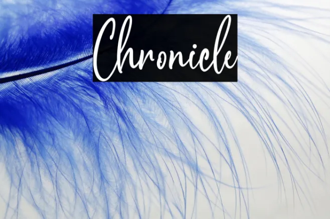 Chronicle Example 1