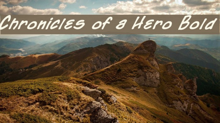 Chronicles of a Hero Bold Font examples