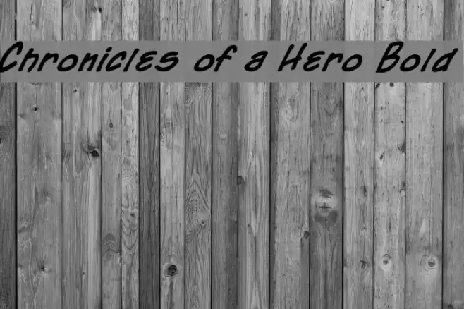 Chronicles of a Hero Bold Font examples