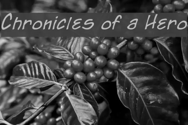 Chronicles of a Hero Font examples