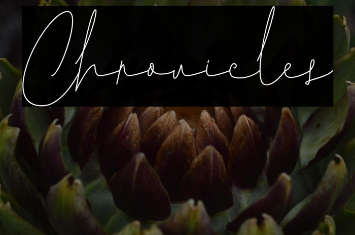 Chronicles Example 1