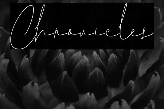 Chronicles 字体 examples