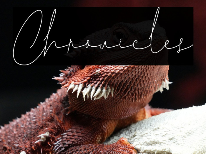 Chronicles Example 2