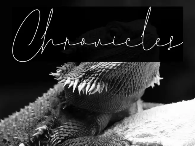 Chronicles 字体 examples