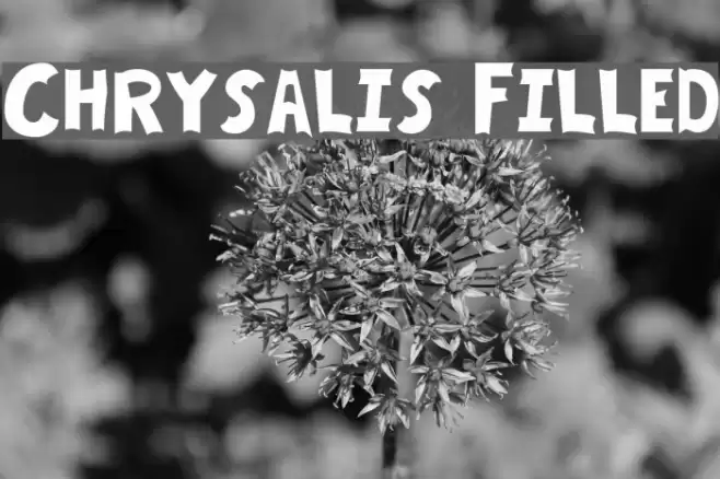 Chrysalis Filled Font examples