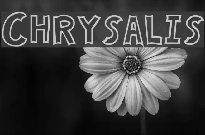 Chrysalis Font examples
