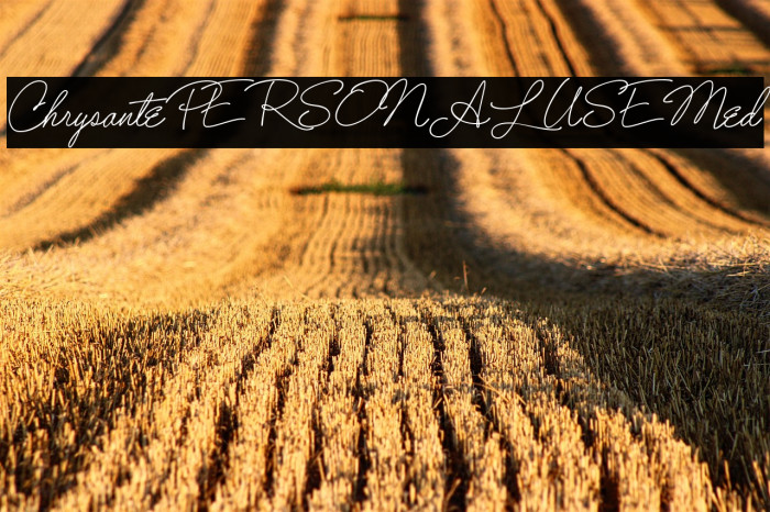 ChrysantePERSONALUSEMed Example 1