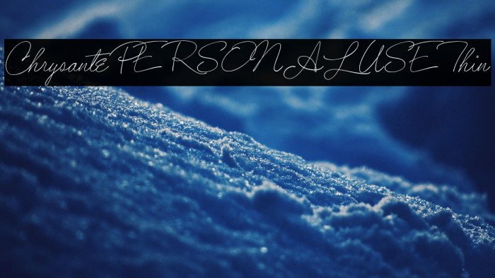 ChrysantePERSONALUSEThin Example 1