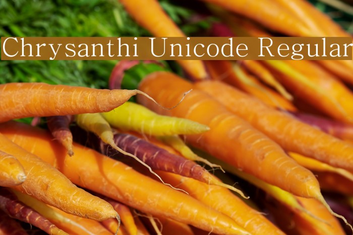 Chrysanthi Unicode Regular Font examples