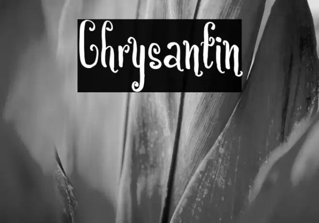 Chrysantin Font examples