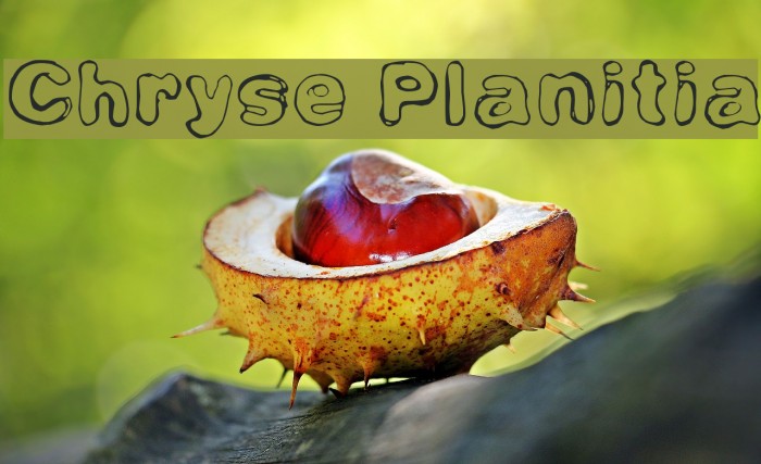 Chryse Planitia Font examples