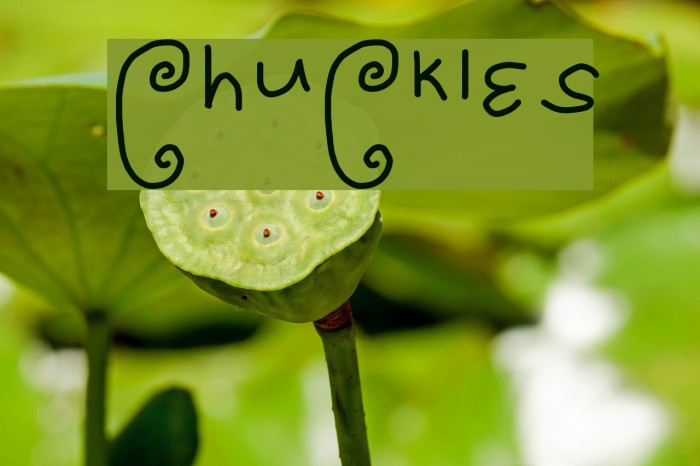 ChuCkles Font examples