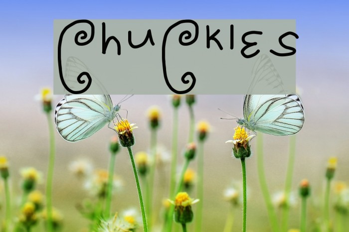 ChuCkles Font examples