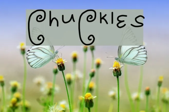 ChuCkles Example 3