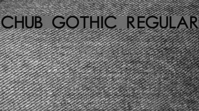 Chub Gothic Regular Font examples