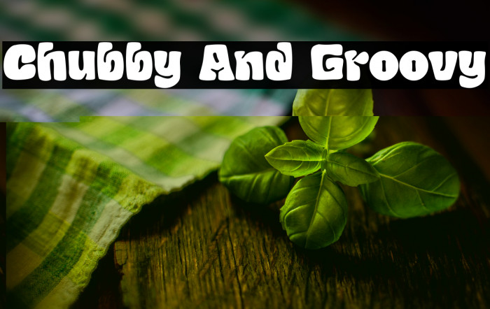 Chubby And Groovy Example 2