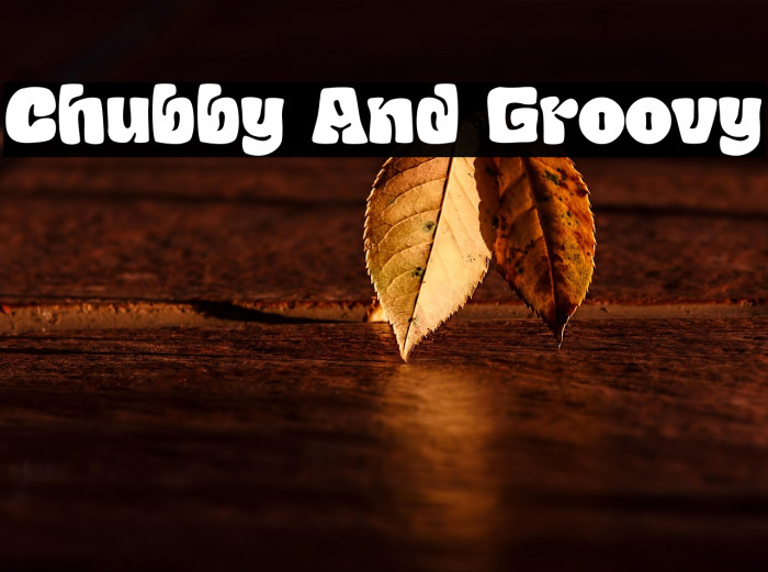 Chubby And Groovy Example 3