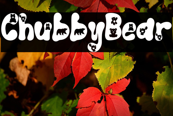 Chubby Bear Example 1