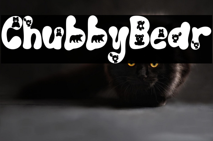 Chubby Bear Example 3