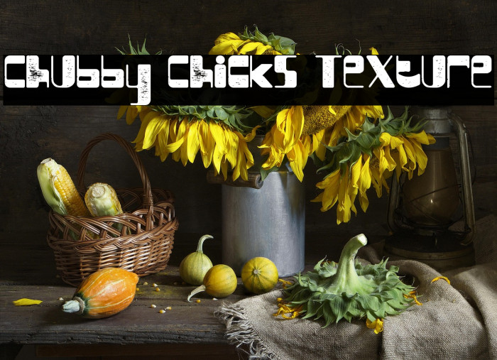 Chubby Chicks Texture Example 1