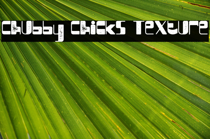 Chubby Chicks Texture Example 3