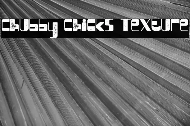 Chubby Chicks Texture Schriftart examples