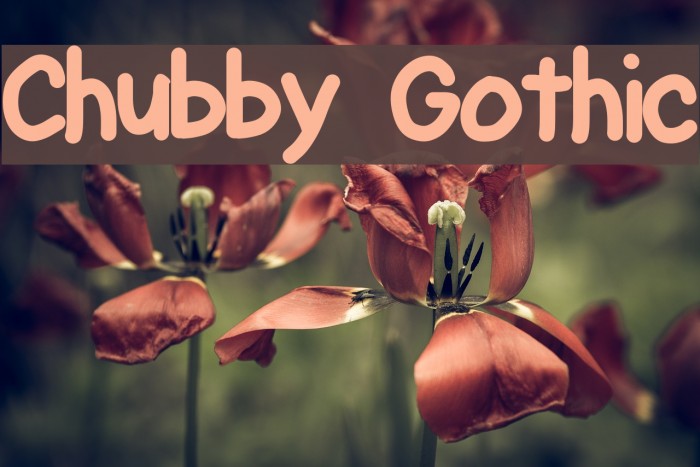 Chubby Gothic Font examples