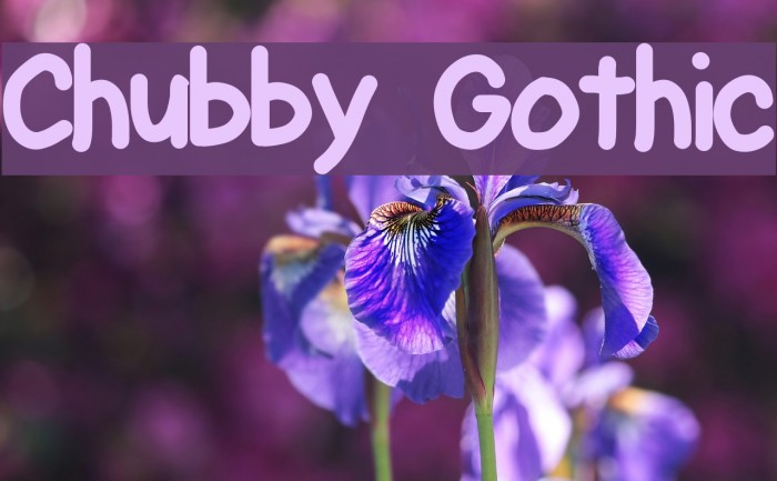 Chubby Gothic Fuentes examples