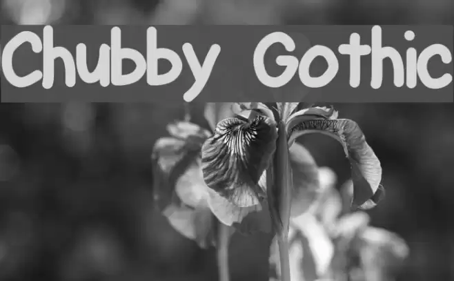 Chubby Gothic フォント examples