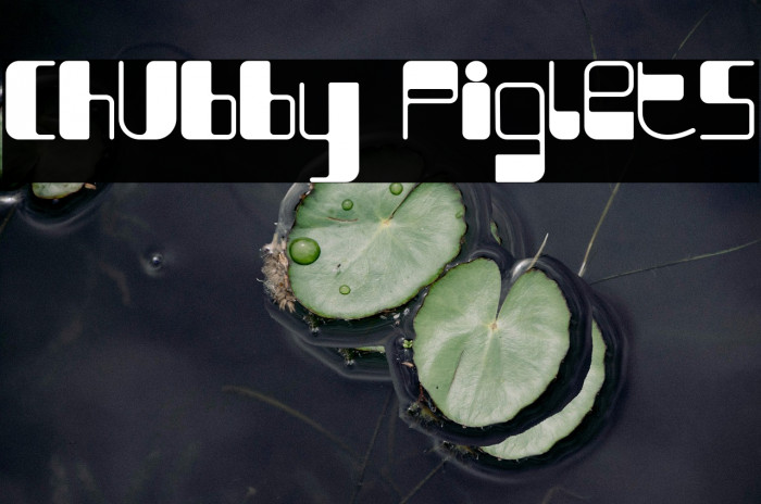 Chubby Piglets Example 2