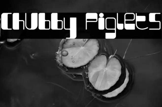 Chubby Piglets फ़ॉन्ट examples