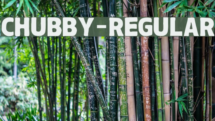Chubby-Regular Font examples