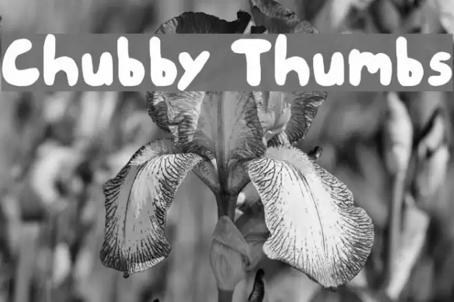 Chubby Thumbs Font examples