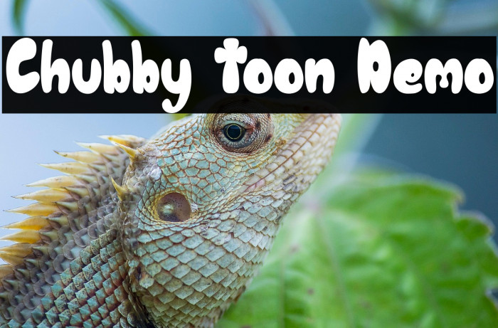 Chubby Toon Demo Example 2