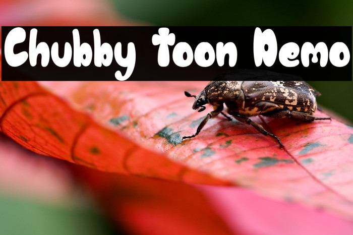 Chubby Toon Demo Example 3