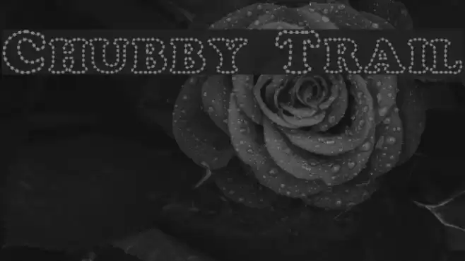 Chubby Trail フォント examples