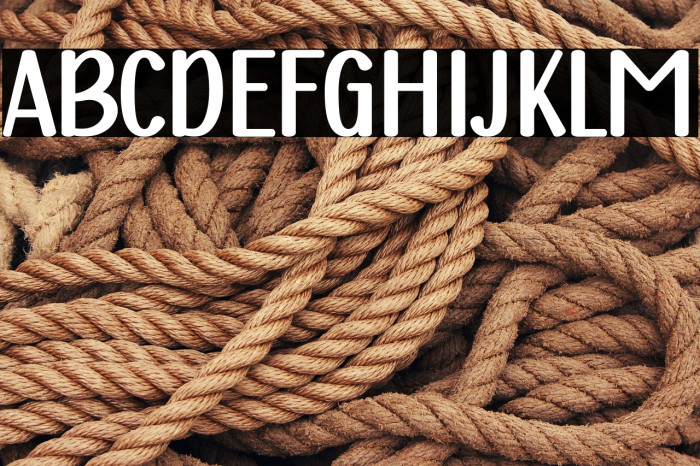 Chubby Unicorn Example 2