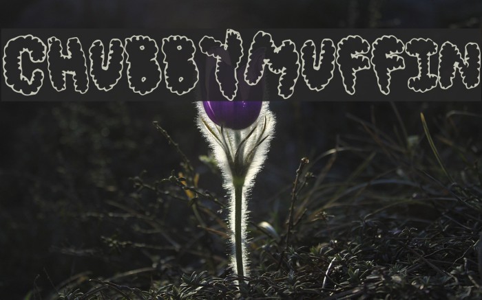 ChubbyMuffin Font examples