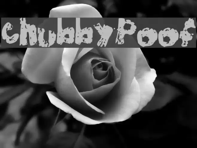ChubbyPoof Font examples