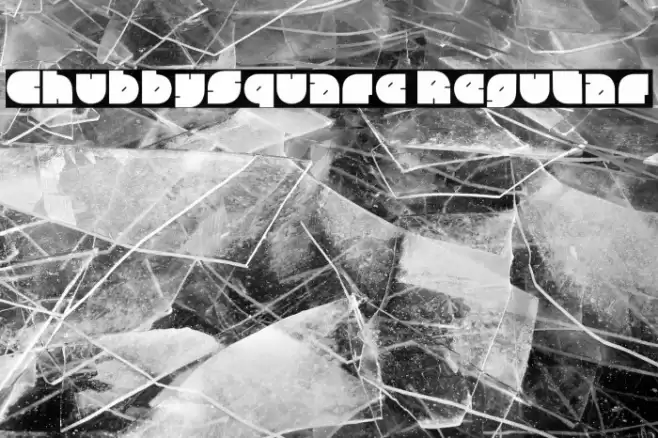 ChubbySquare Regular Polices examples