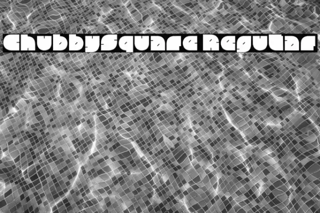 ChubbySquare Regular Polices examples