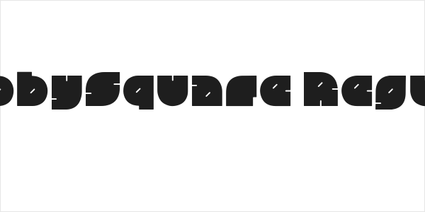 ChubbySquare Regular Logo